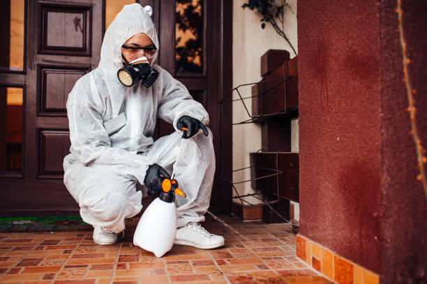 Reliable Ant Control contractor in Montgomery, GA by Show Me Pest Control